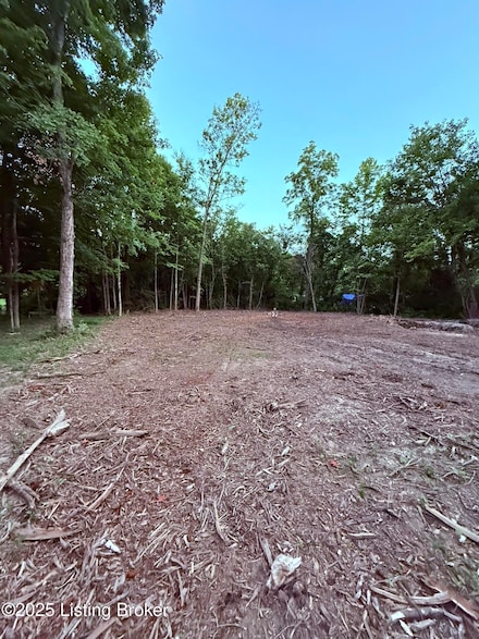 0 Reamers Rd, Pewee Valley, KY 40056