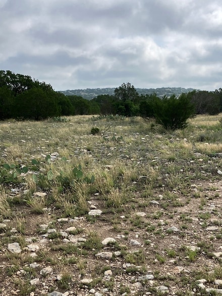 0 Sd 45500 Unit 70178686, Rocksprings, TX 78880
