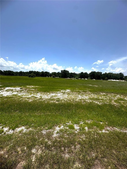 38793 Ranch Gate Blvd, Umatilla, FL 32784