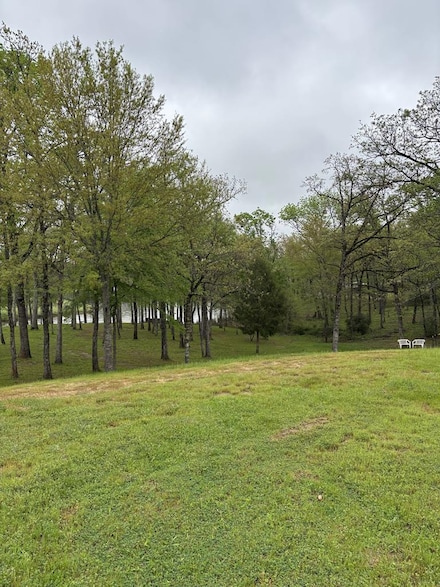 0 Esquire Estates Rd Unit 108662, Mabank, TX 75156