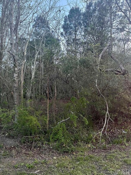 0 Neals Creek Rd, Poplar Branch, NC 27965