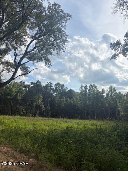 0 Bonnet Pond Rd, Jacob City, FL 32431
