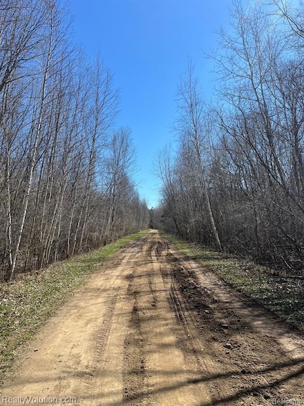 0 Chippewa Trail Unit 20240025599, Other, MI 48726