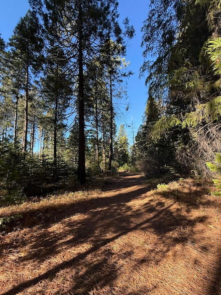 0 Hidden Meadows Rd, Shingletown, CA 96088