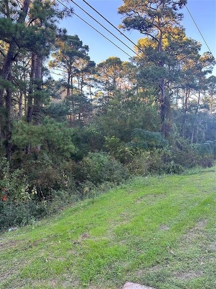 TBD R28890 Tahitian Dr, Bastrop, TX 78602