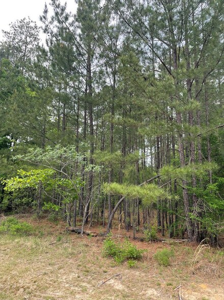 0 Grey Wolf Trail Unit 27810, Dublin, GA 31021