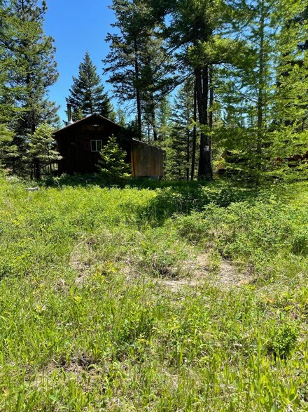 490 Buffalo Ln, Somers, MT 59932