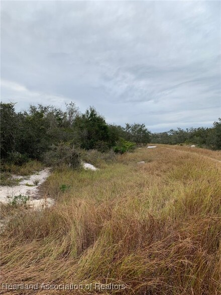 300 Drama Dr, Lake Placid, FL 33852