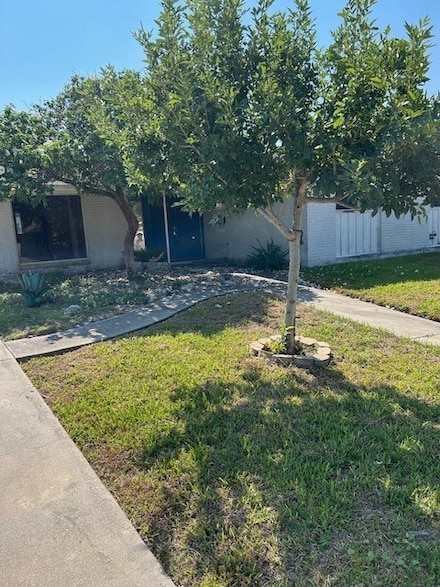 445 Haroldson Dr, Corpus Christi, TX 78412