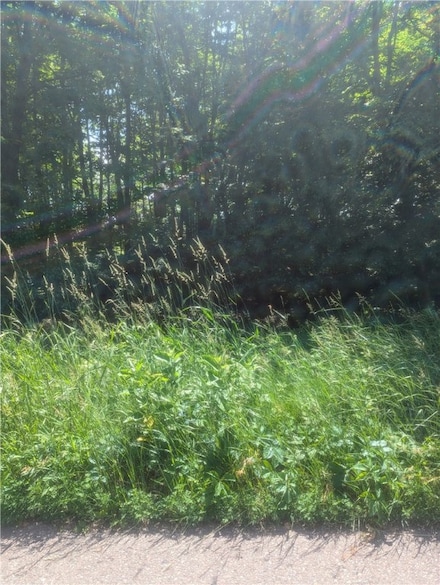 Lot 1 361st St, Colburn, WI 54768