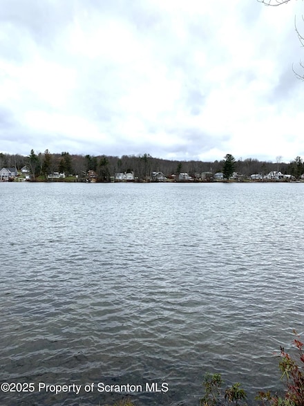 335 S Shore Dr, Thompson, PA 18465