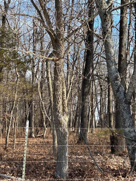 000 N Farm Road 177, Franklin No. 2 Township, MO 65803