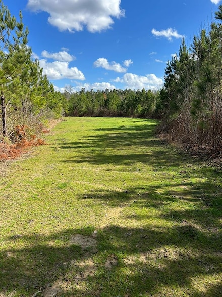 . Dennis Cross, Fayette, MS 39069