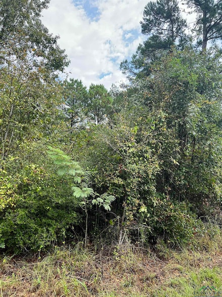 TBD Sarber Rd, Jefferson, TX 75657