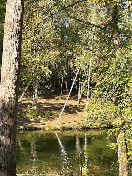 022 County Road 30, Florence, AL 35634