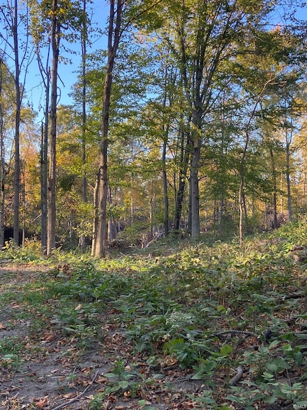 1300 N 175 E, Peru Township, IN 46970