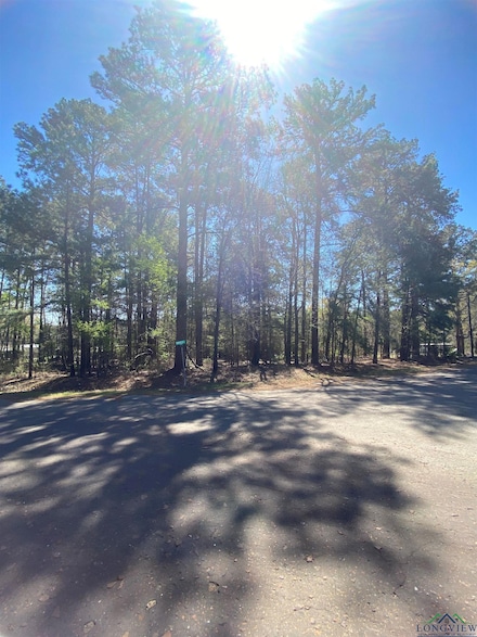 TBD Lot 51 Bois D'Arc Dr, Diana, TX 75640