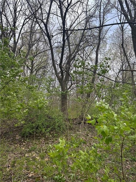000 Hunters Run Dr, van Meter, IA 50261