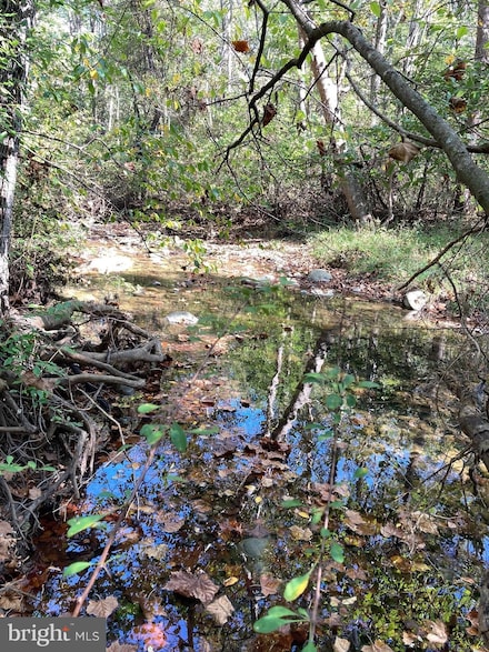 Lot 2 Old Mill Rd, Capon Bridge, WV 26711