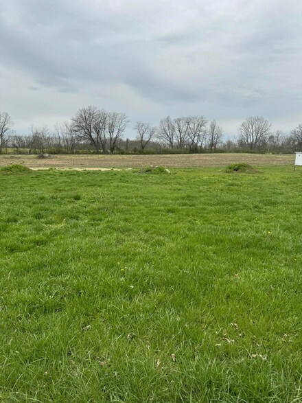 8159 Maple St, Thurston, OH 43157