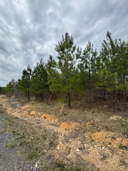 229 Southern Spruce Trail, Broken Bow, OK 74728