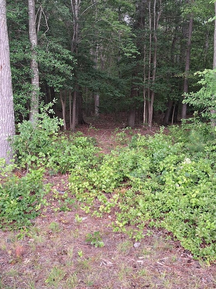 Lot 34 Pitts Creek Rd Unit 34, New Church, VA 23415