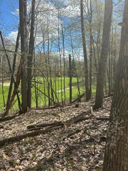 9700 Pere Marquette Dr, Canadian Lakes, MI 49346