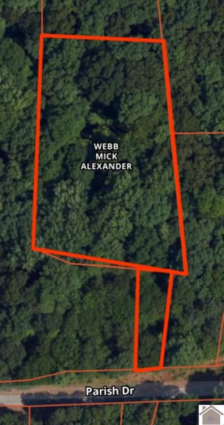 0 Parish Dr Unit Lots 120 & 133, New Concord, KY 42076