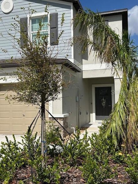 2552 Sunray Venus Way, Ruskin, FL 33570