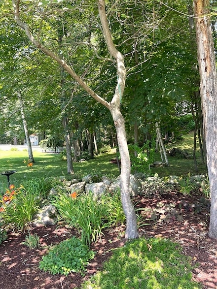 57 Babcock Tavern Rd, Hardwick, MA 01082