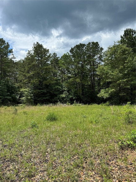 2511 County Road 4280, Woodville, TX 75979