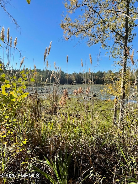 88 County Road 228, Pachuta, MS 39347