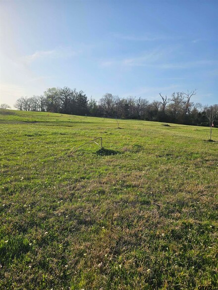 TBD Farm To Market 515, Como, TX 75431