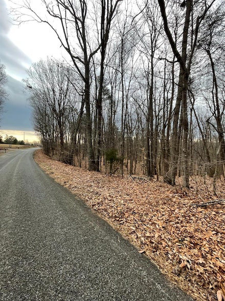 Tract C Swan Creek Rd, Gladys, VA 24554
