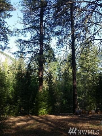 0 Tyee Dr, Entiat, WA 98822