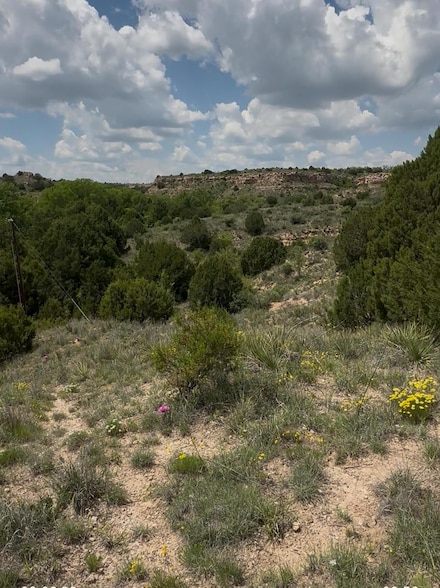 0 Timbercreek Dr W Unit 25-4236, Amarillo, TX 79118