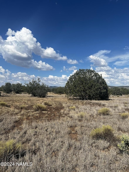 3101 W Yukon Dr Unit 671, Ash Fork, AZ 86320