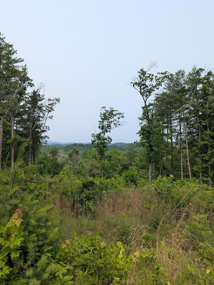 00 Martin Rd, Murphy, NC 28906