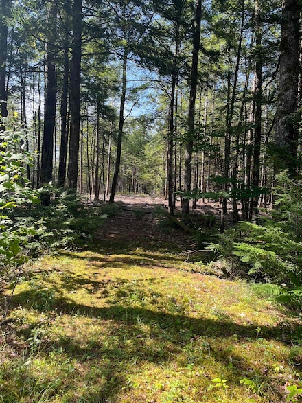 61 Dame Rd, Tuftonboro, NH 03816