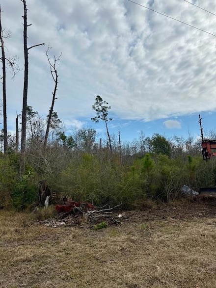Lot 2 SE Pine St, Kinard, FL 32449
