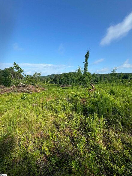 Tract 3 Hawk Ln, Easley, SC 29640