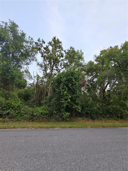 00 Gurnee Ave, Moon Lake, FL 34654