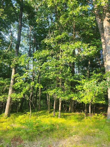 Lot 19 Fenwood, Denton Township, MI 48651