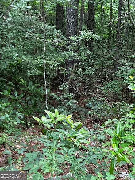 0 Ayers Rd Unit 10540935, Bowdon, GA 30108