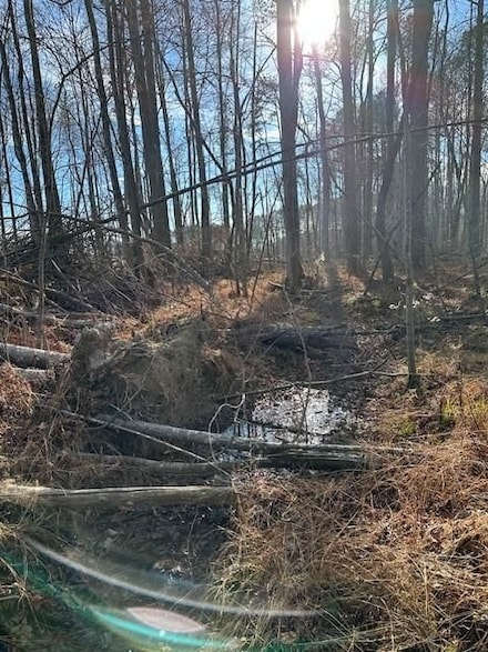 0 Tract 11 Dykes Hollow Rd, Tracy City, TN 37387