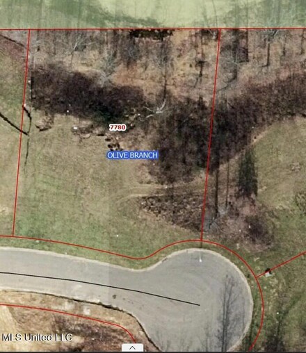 7780 Rowlett Dr, Olive Branch, MS 38654