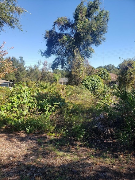 0 Chestnut Ave Unit MFRO6260184, Orange City, FL 32763