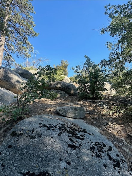 0 Hillcrest Dr Unit EV24144727, Running Springs Area, CA 92382
