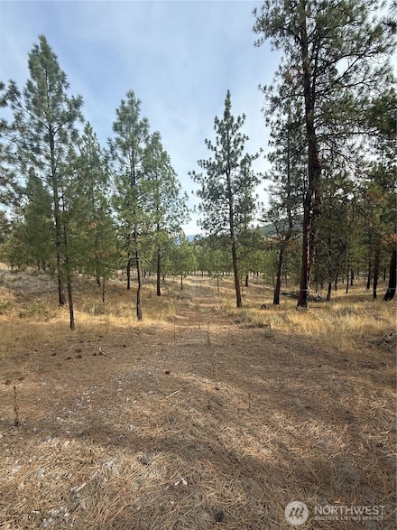 67 W Bannon Creek Rd, Tonasket, WA 98855