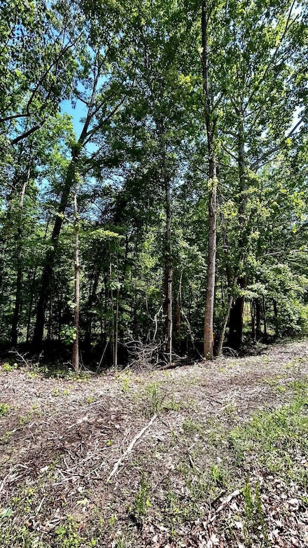 1208 Redwood Dr, Saulsbury, TN 38067